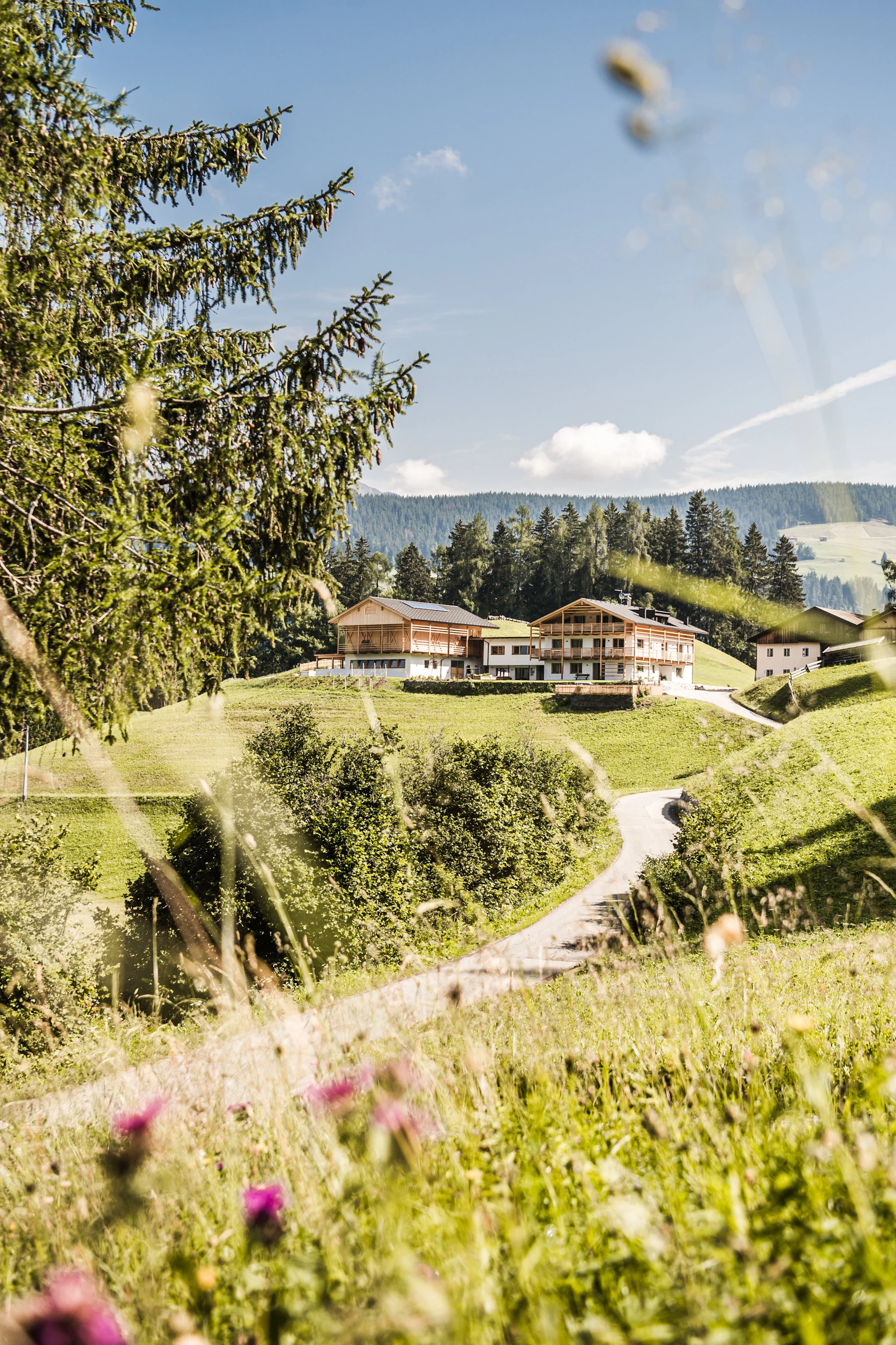 Maso Biologico Untergr ber Vacanze Nelle Dolomiti Nella Valle Di 